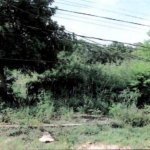 First image of Lot 22 Kirk Avenue, Old Harbour in Old Harbour, St. Catherine, Jamaica - property is For Sale