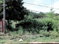 First image of Lot 22 Kirk Avenue, Old Harbour in Old Harbour, St. Catherine, Jamaica - property is For Sale