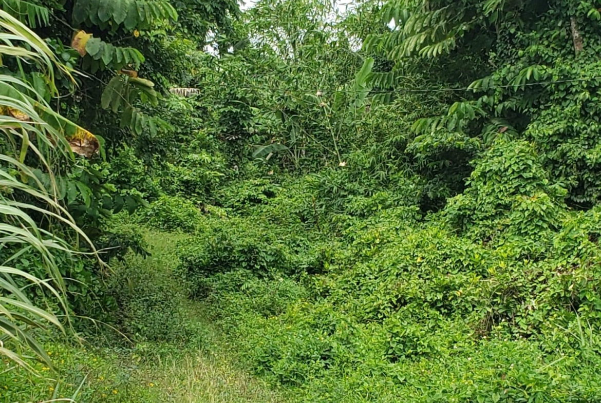 Sixth image of 59 Retreat, Orange Bay, Port in Orange Bay, Portland, Jamaica - property is For Sale