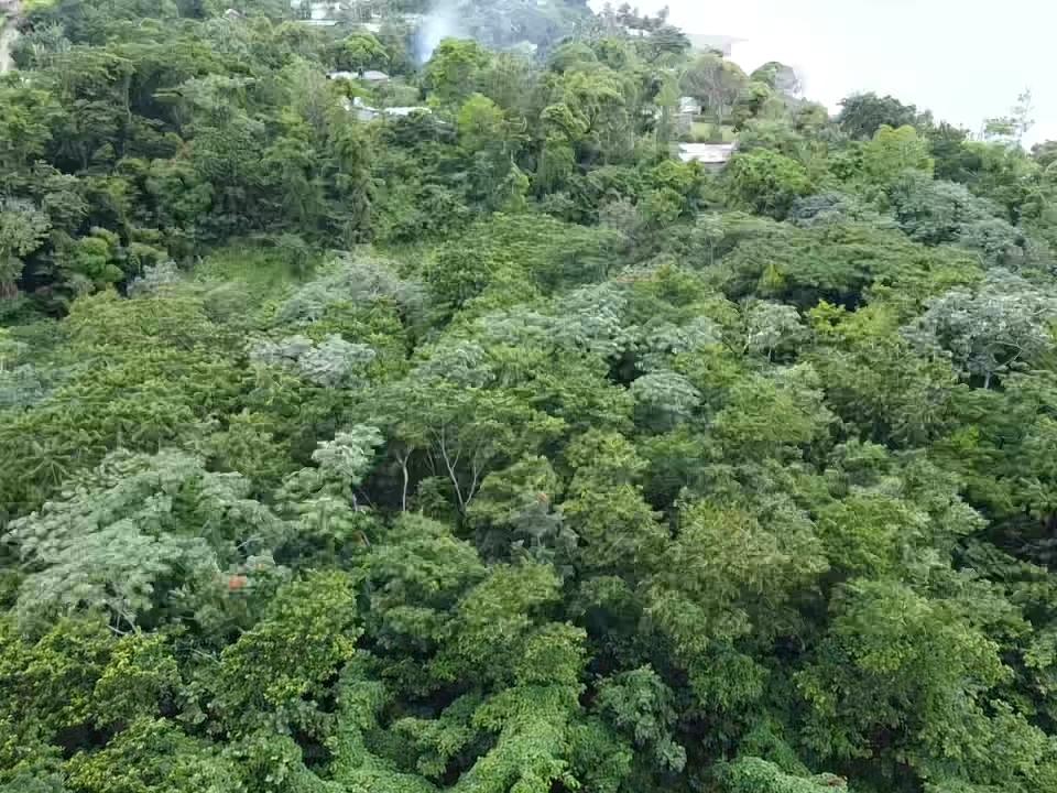 Seventh image of 59 Retreat, Orange Bay, Port in Orange Bay, Portland, Jamaica - property is For Sale