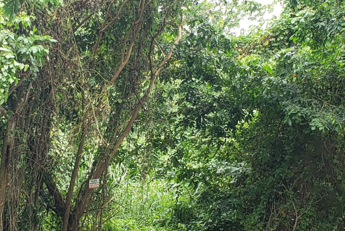 Fifth image of 58 Retreat, Orange Bay, Por in Orange Bay, Portland, Jamaica - property is For Sale