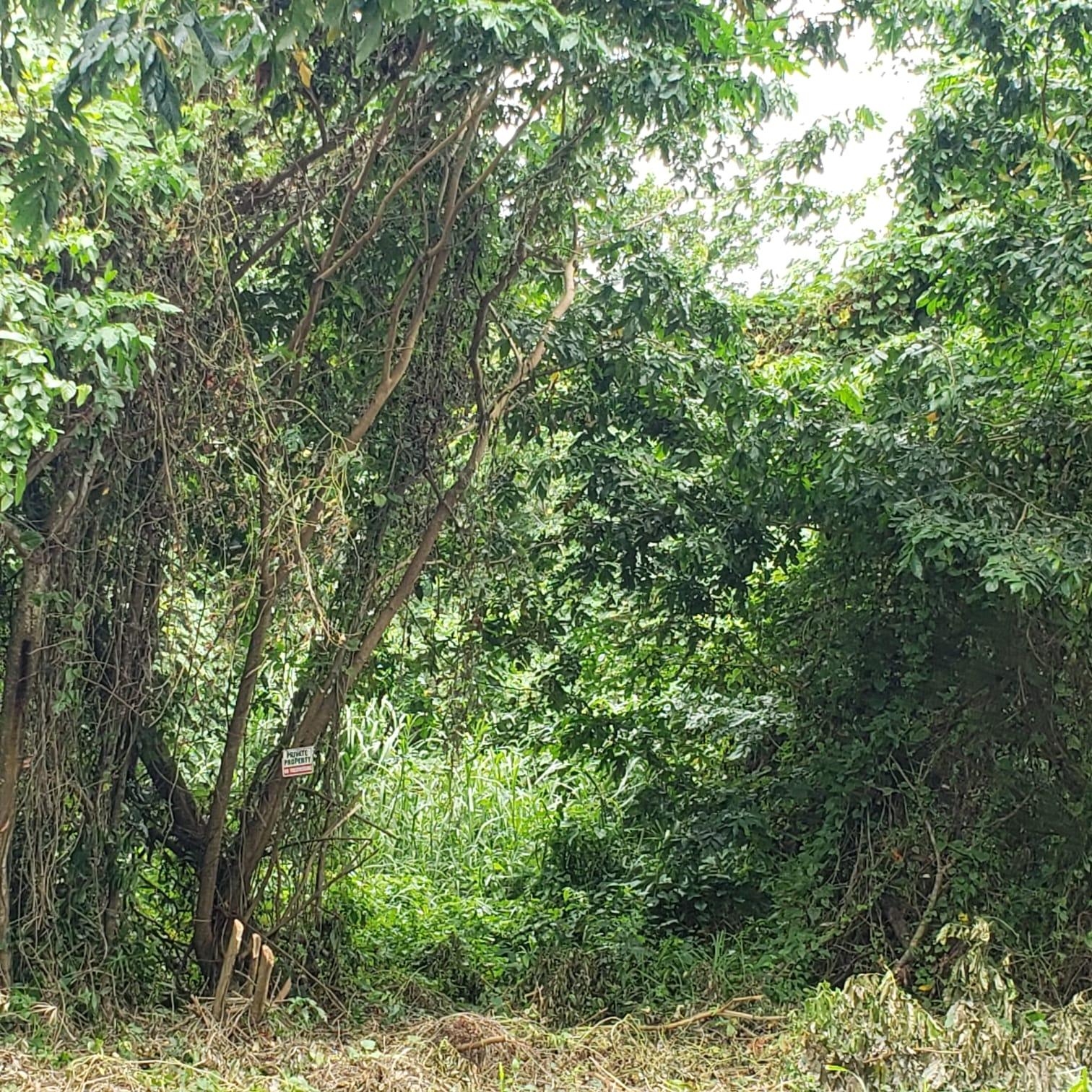 Fifth image of 58 Retreat, Orange Bay, Por in Orange Bay, Portland, Jamaica - property is For Sale