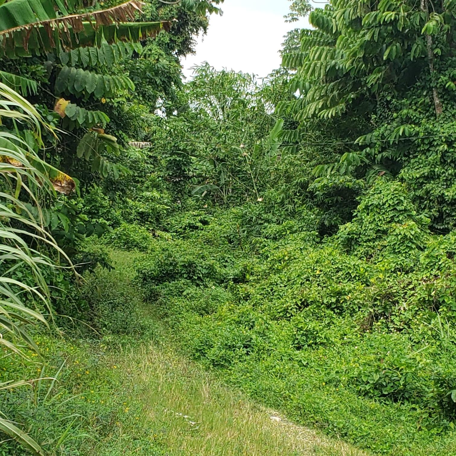 Sixth image of 58 Retreat, Orange Bay, Por in Orange Bay, Portland, Jamaica - property is For Sale