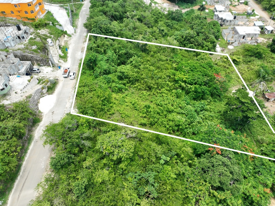 Third image of Lot 379 Bergamo Hill, Orchard Gar in Hopewell, Hanover, Jamaica - property is For Sale