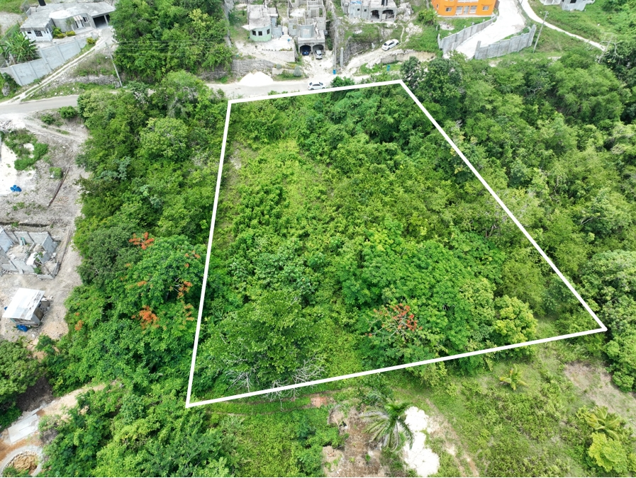 Fourth image of Lot 379 Bergamo Hill, Orchard Gar in Hopewell, Hanover, Jamaica - property is For Sale