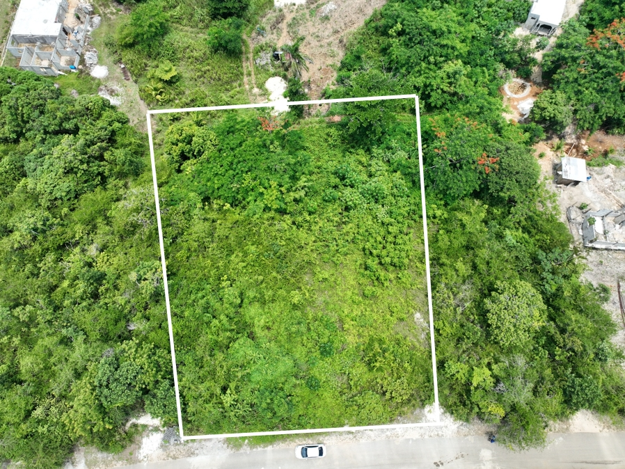 Sixth image of Lot 379 Bergamo Hill, Orchard Gar in Hopewell, Hanover, Jamaica - property is For Sale