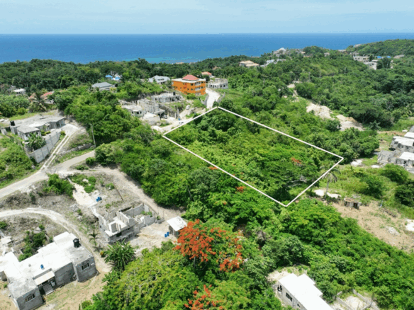 First image of Lot 379 Bergamo Hill, Orchard Gar in Hopewell, Hanover, Jamaica - property is For Sale