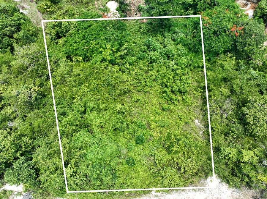 Seventh image of Lot 379 Bergamo Hill, Orchard Gar in Hopewell, Hanover, Jamaica - property is For Sale