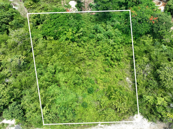 Seventh image of Lot 379 Bergamo Hill, Orchard Gar in Hopewell, Hanover, Jamaica - property is For Sale