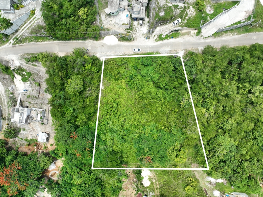 Eighth image of Lot 379 Bergamo Hill, Orchard Gar in Hopewell, Hanover, Jamaica - property is For Sale