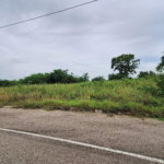 First image of 12 Palmbrook Estate in Lacovia, St. Elizabeth, Jamaica - property is For Sale