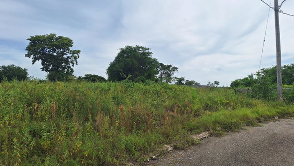 Third image of 12 Palmbrook Estate in Lacovia, St. Elizabeth, Jamaica - property is For Sale