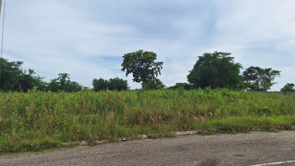Fifth image of 12 Palmbrook Estate in Lacovia, St. Elizabeth, Jamaica - property is For Sale