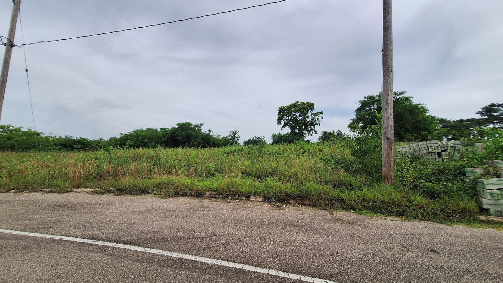 Sixth image of 12 Palmbrook Estate in Lacovia, St. Elizabeth, Jamaica - property is For Sale