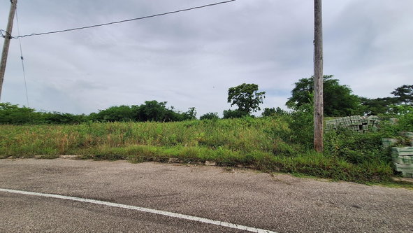 Sixth image of 12 Palmbrook Estate in Lacovia, St. Elizabeth, Jamaica - property is For Sale