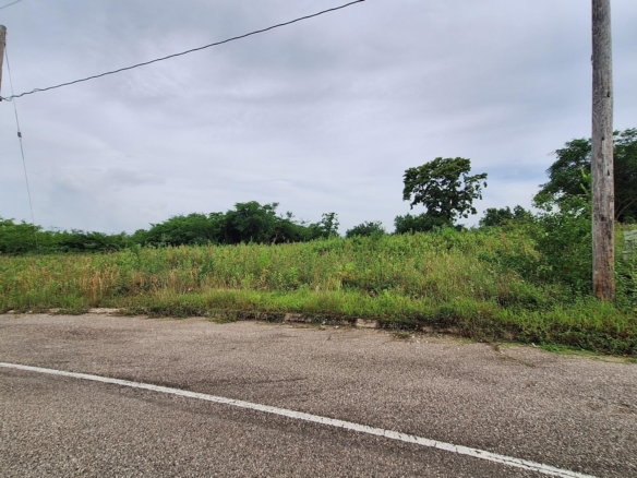 First image of 12 Palmbrook Estate in Lacovia, St. Elizabeth, Jamaica - property is For Sale