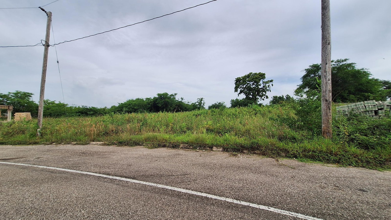 First image of 12 Palmbrook Estate in Lacovia, St. Elizabeth, Jamaica - property is For Sale