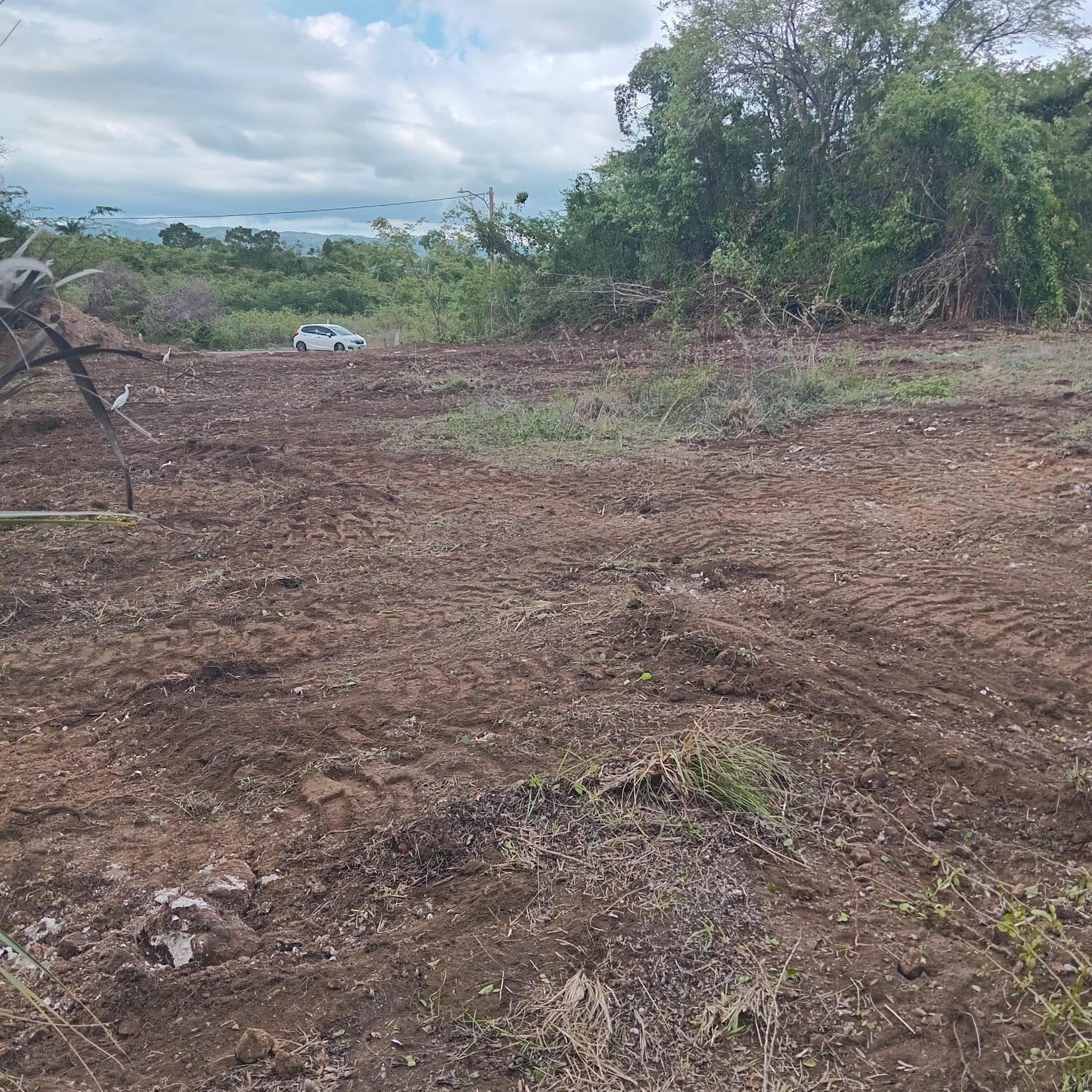 Third image of Lot 357- Palmbrook Estate in Palm Brook Estate, St. Elizabeth, Jamaica - property is For Sale