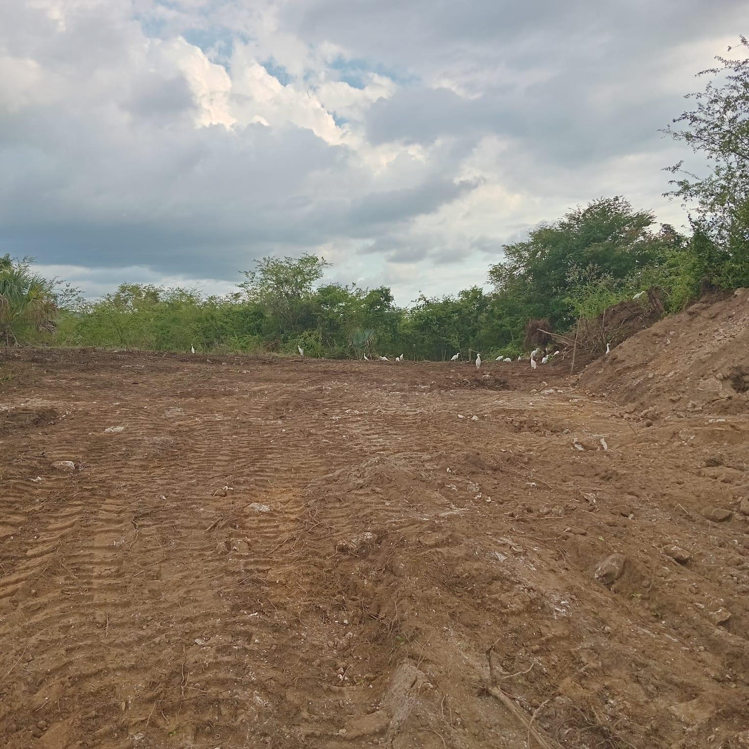 Fourth image of Lot 357- Palmbrook Estate in Palm Brook Estate, St. Elizabeth, Jamaica - property is For Sale
