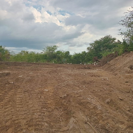 Fourth image of Lot 357- Palmbrook Estate in Palm Brook Estate, St. Elizabeth, Jamaica - property is For Sale