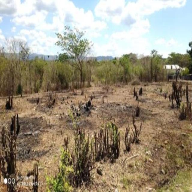 Third image of Browns Avenue in Palmers Cross, Clarendon, Jamaica - property is For Sale