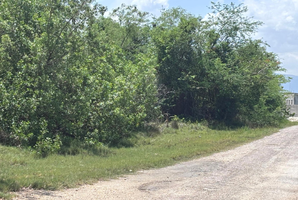 First image of 206 Parottee, St. Elizabeth in Black River, St. Elizabeth, Jamaica - property is For Sale