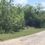 First image of 206 Parottee, St. Elizabeth in Black River, St. Elizabeth, Jamaica - property is For Sale