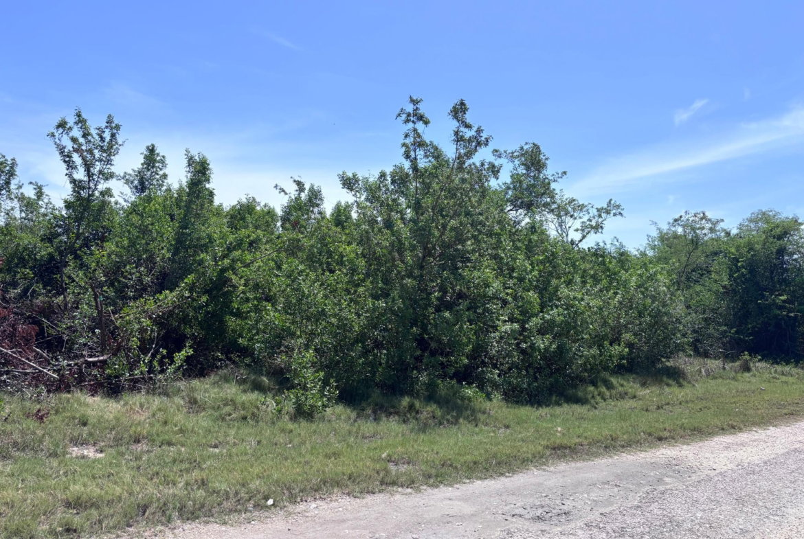 Third image of 206 Parottee, St. Elizabeth in Black River, St. Elizabeth, Jamaica - property is For Sale