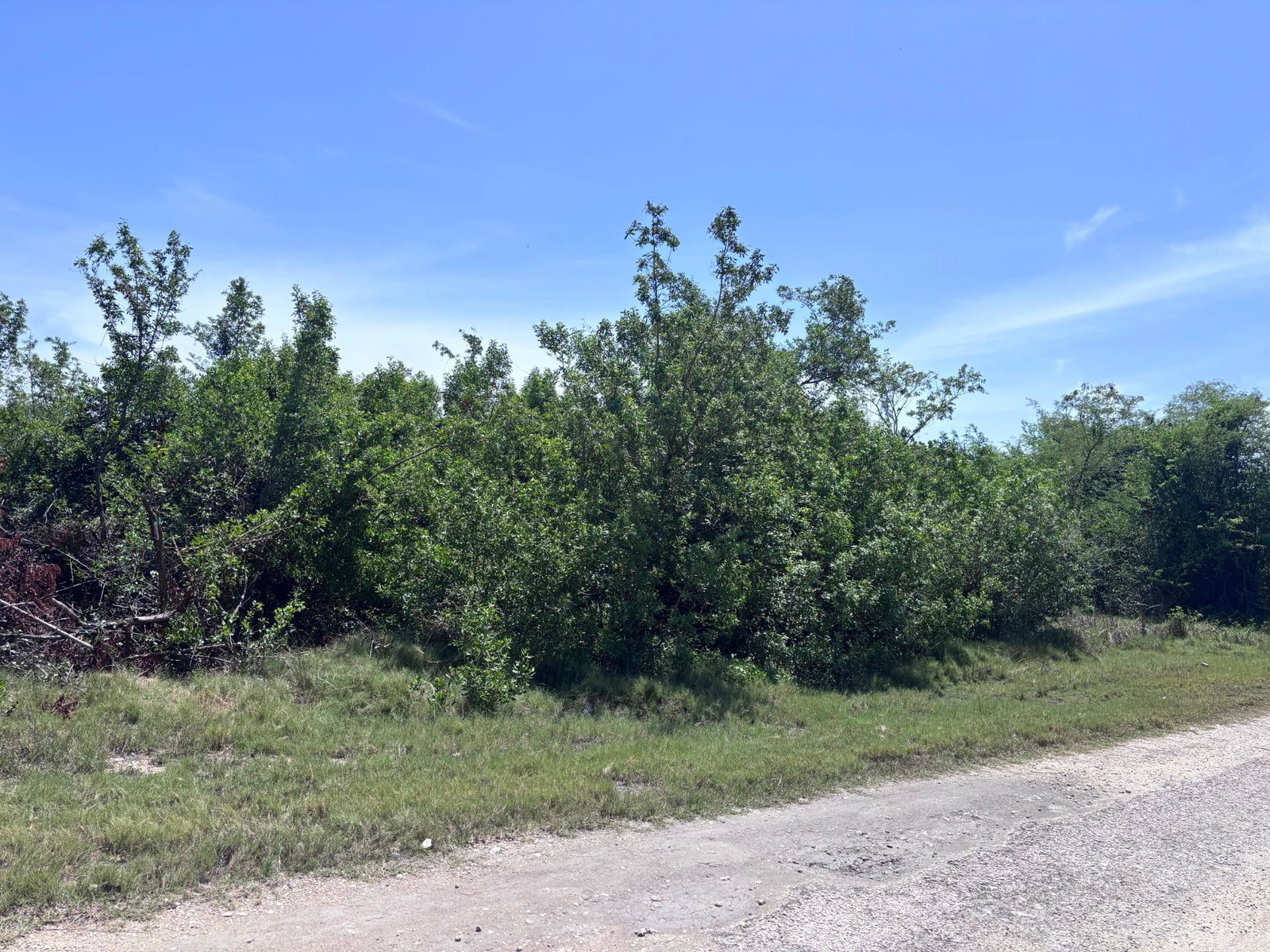 Third image of 206 Parottee, St. Elizabeth in Black River, St. Elizabeth, Jamaica - property is For Sale