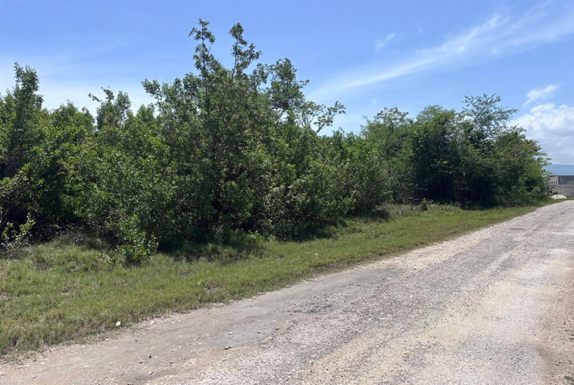 Fourth image of 206 Parottee, St. Elizabeth in Black River, St. Elizabeth, Jamaica - property is For Sale
