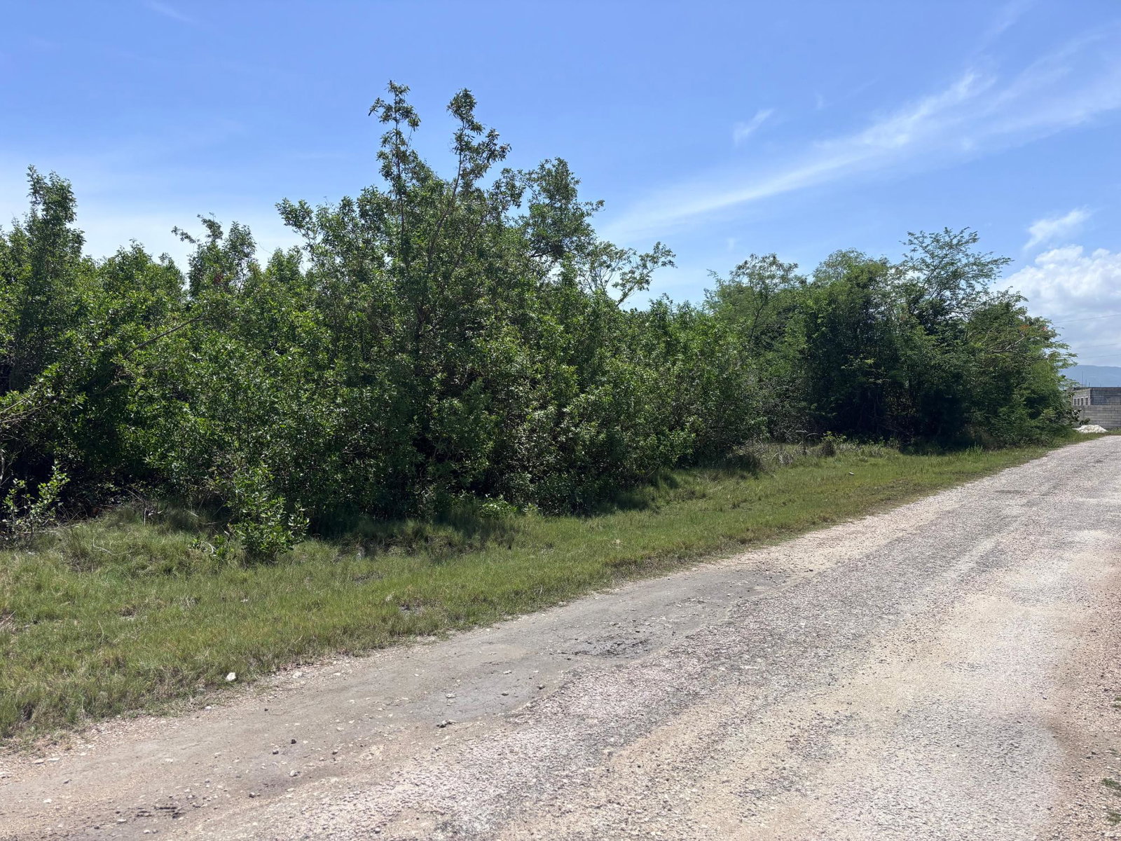 Fourth image of 206 Parottee, St. Elizabeth in Black River, St. Elizabeth, Jamaica - property is For Sale