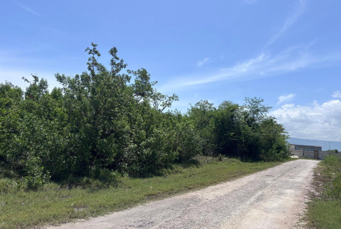 Fifth image of 206 Parottee, St. Elizabeth in Black River, St. Elizabeth, Jamaica - property is For Sale