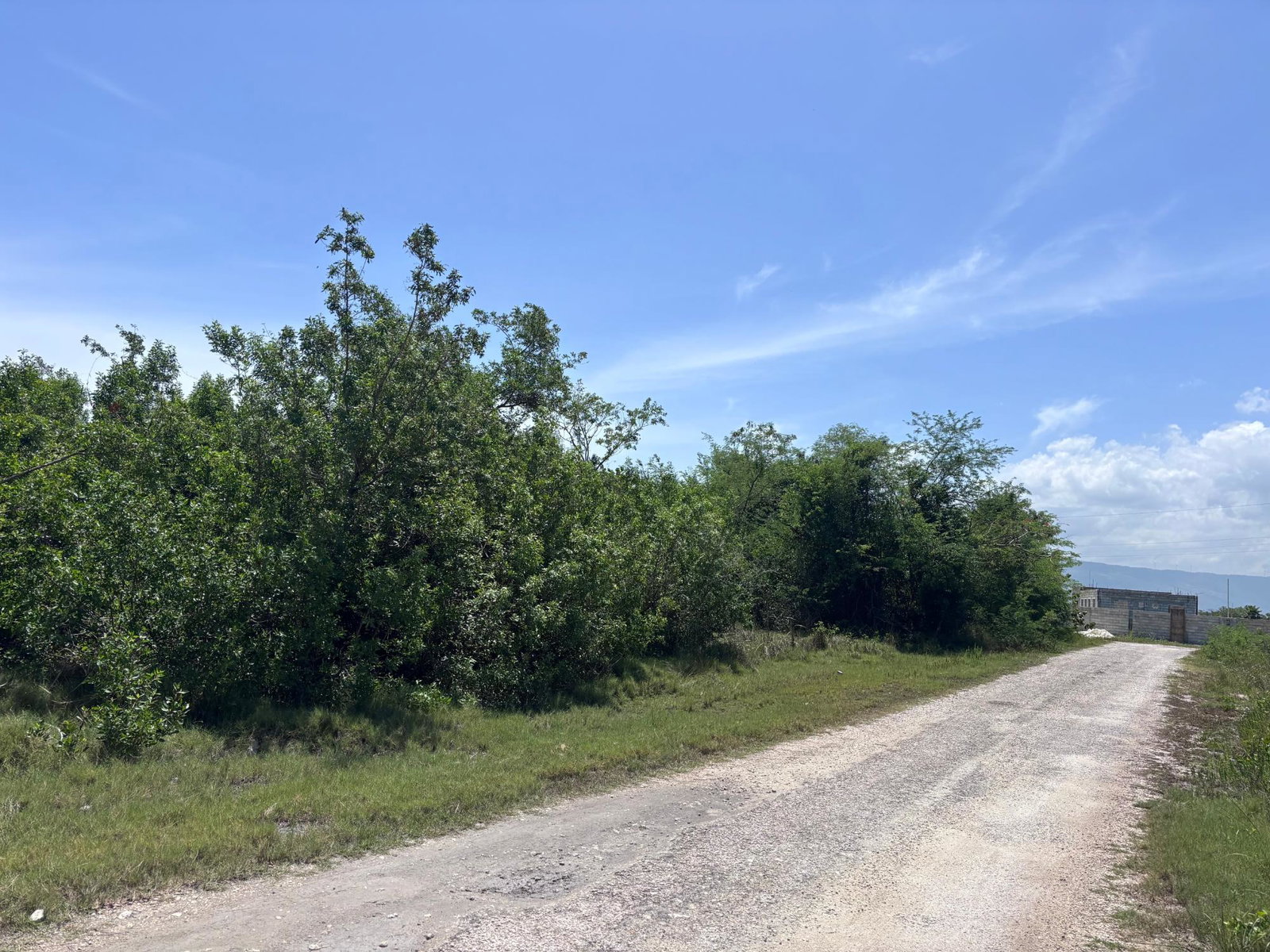 Fifth image of 206 Parottee, St. Elizabeth in Black River, St. Elizabeth, Jamaica - property is For Sale