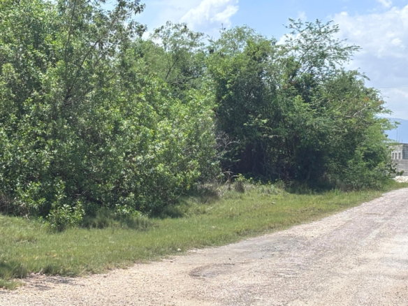 First image of 206 Parottee, St. Elizabeth in Black River, St. Elizabeth, Jamaica - property is For Sale