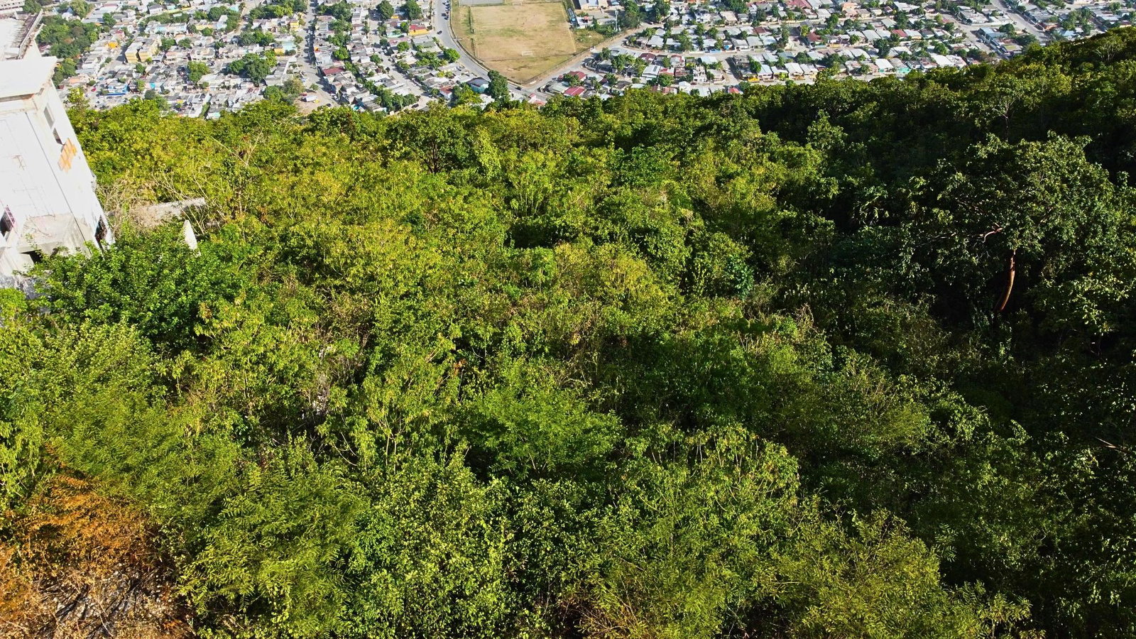 Ninth image of 79 Elmwood Drive, Patrick he in Kingston 20, St. Andrew, Jamaica - property is For Sale