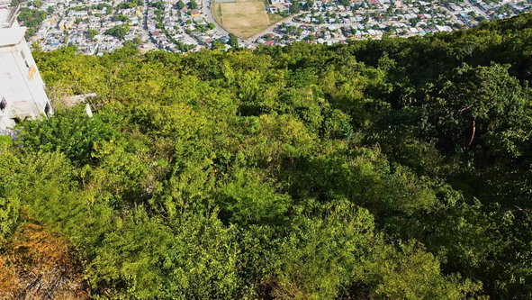 Ninth image of 79 Elmwood Drive, Patrick he in Kingston 20, St. Andrew, Jamaica - property is For Sale
