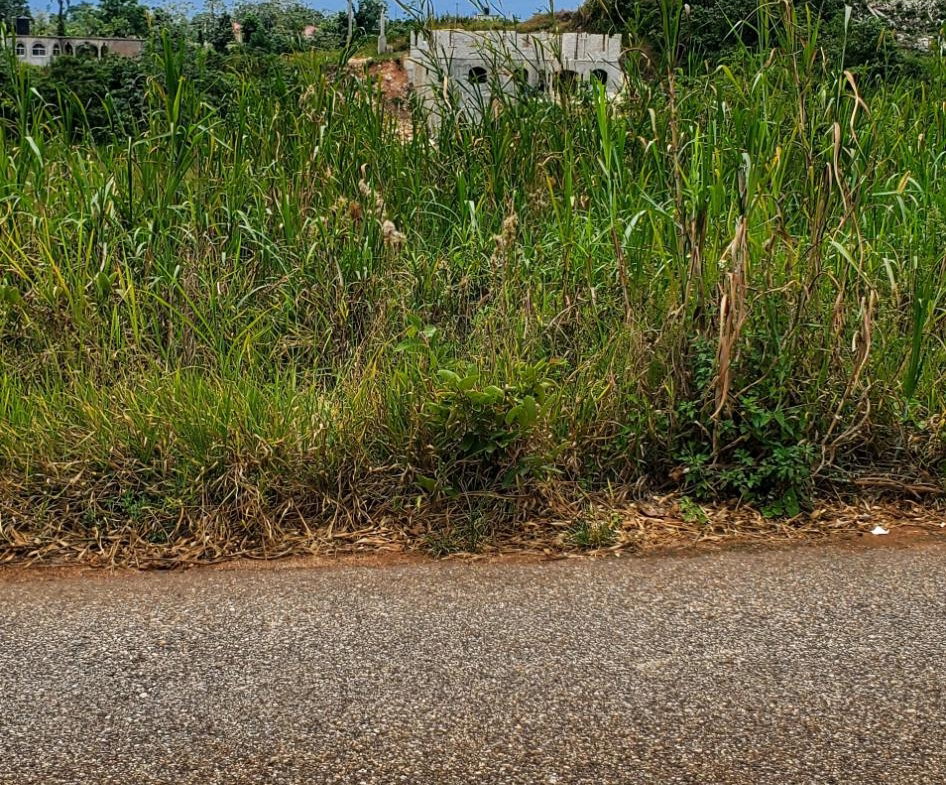 Second image of 19 Sydney Drive in Mandeville, Manchester, Jamaica - property is For Sale
