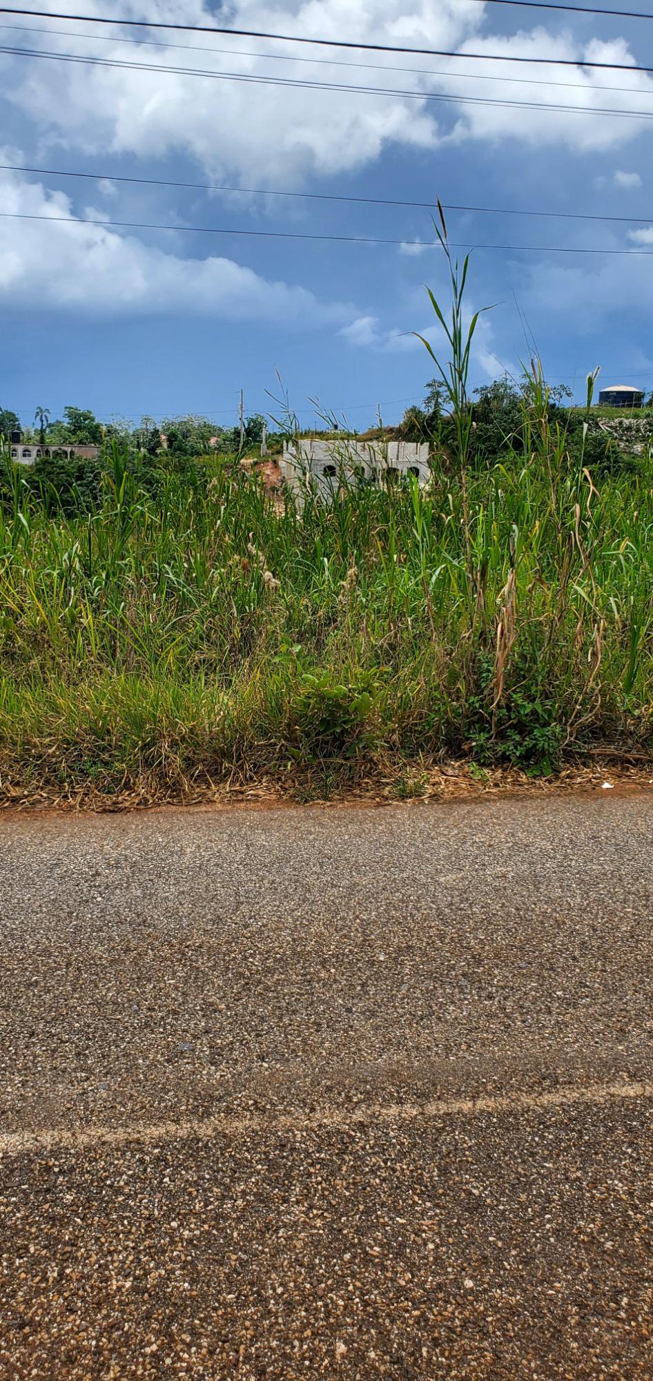 Second image of 19 Sydney Drive in Mandeville, Manchester, Jamaica - property is For Sale