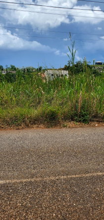 Second image of 19 Sydney Drive in Mandeville, Manchester, Jamaica - property is For Sale