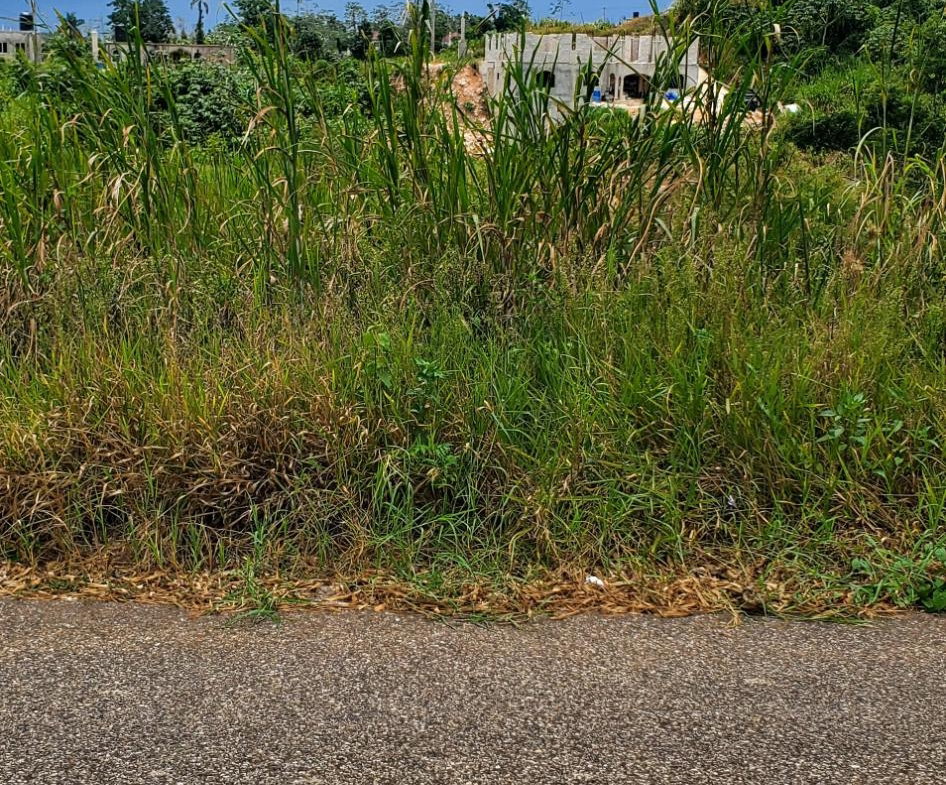 Third image of 19 Sydney Drive in Mandeville, Manchester, Jamaica - property is For Sale