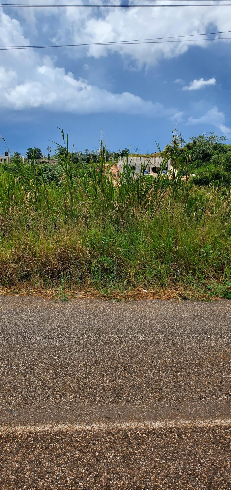 Third image of 19 Sydney Drive in Mandeville, Manchester, Jamaica - property is For Sale