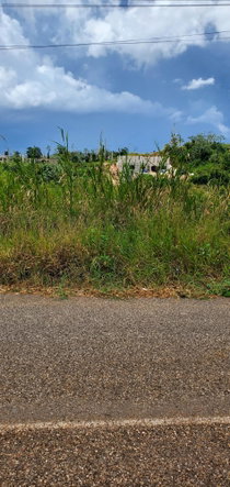 Third image of 19 Sydney Drive in Mandeville, Manchester, Jamaica - property is For Sale