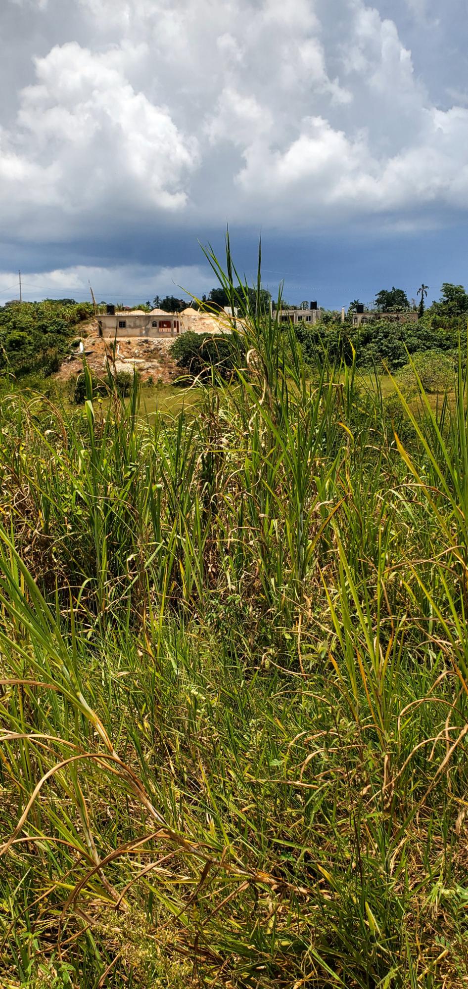 Fifth image of 19 Sydney Drive in Mandeville, Manchester, Jamaica - property is For Sale
