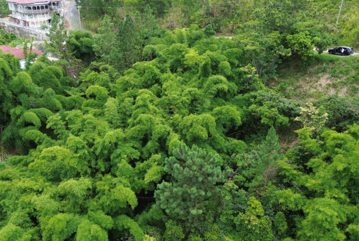 First image of 12 Peter's Rock, St. Andrew in Kingston 8, St. Andrew, Jamaica - property is For Sale