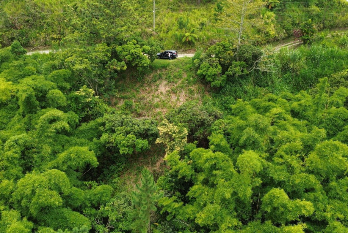 Third image of 12 Peter's Rock, St. Andrew in Kingston 8, St. Andrew, Jamaica - property is For Sale