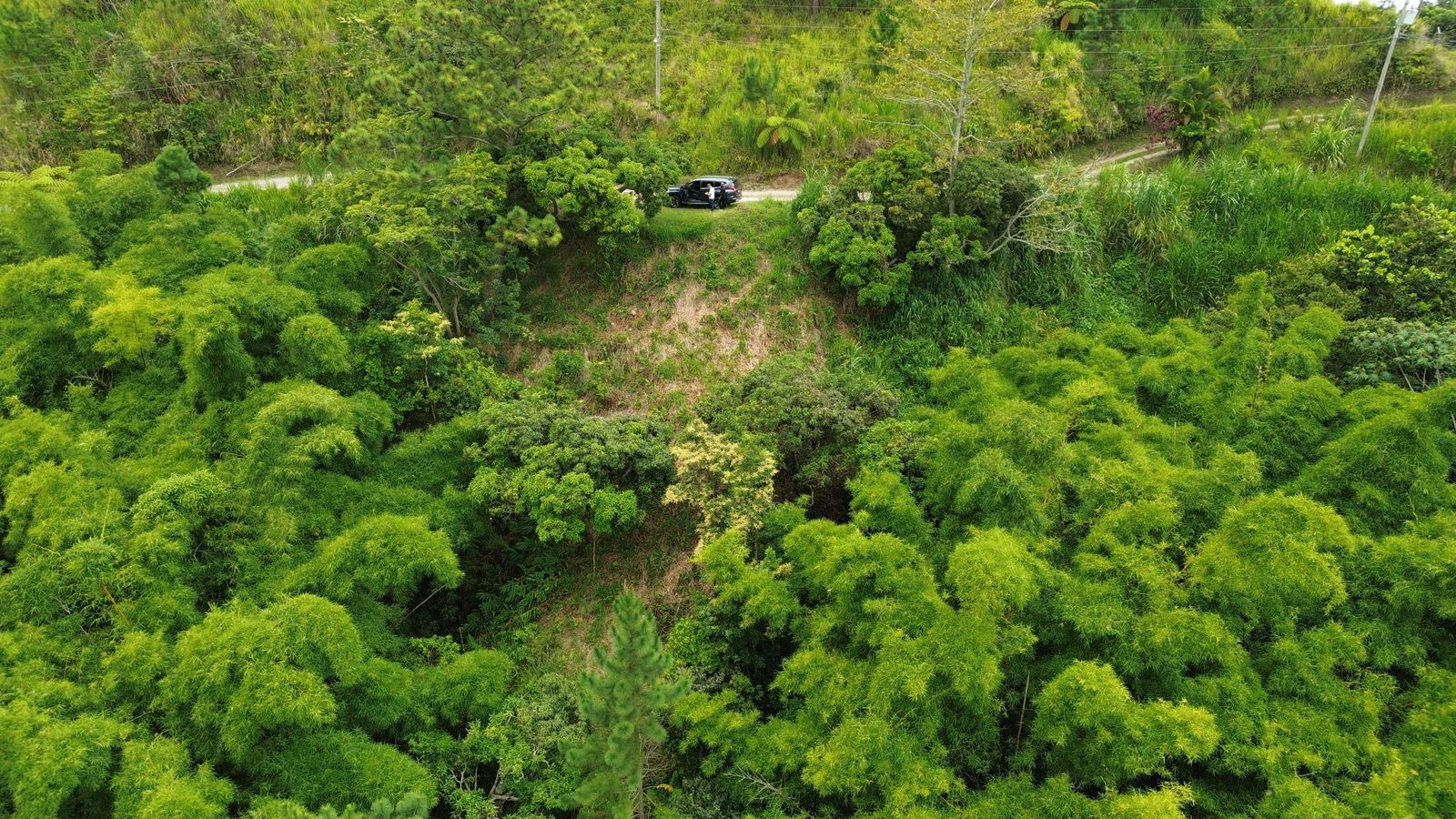 Third image of 12 Peter's Rock, St. Andrew in Kingston 8, St. Andrew, Jamaica - property is For Sale