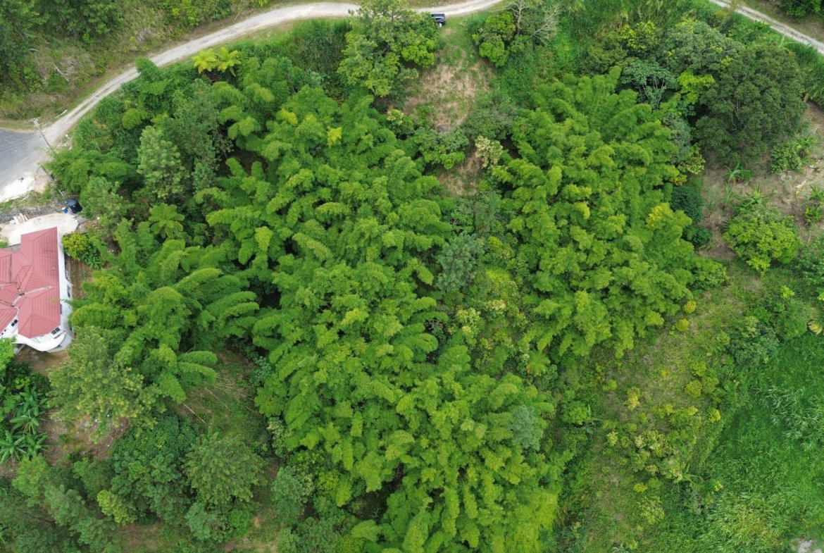 Fourth image of 12 Peter's Rock, St. Andrew in Kingston 8, St. Andrew, Jamaica - property is For Sale