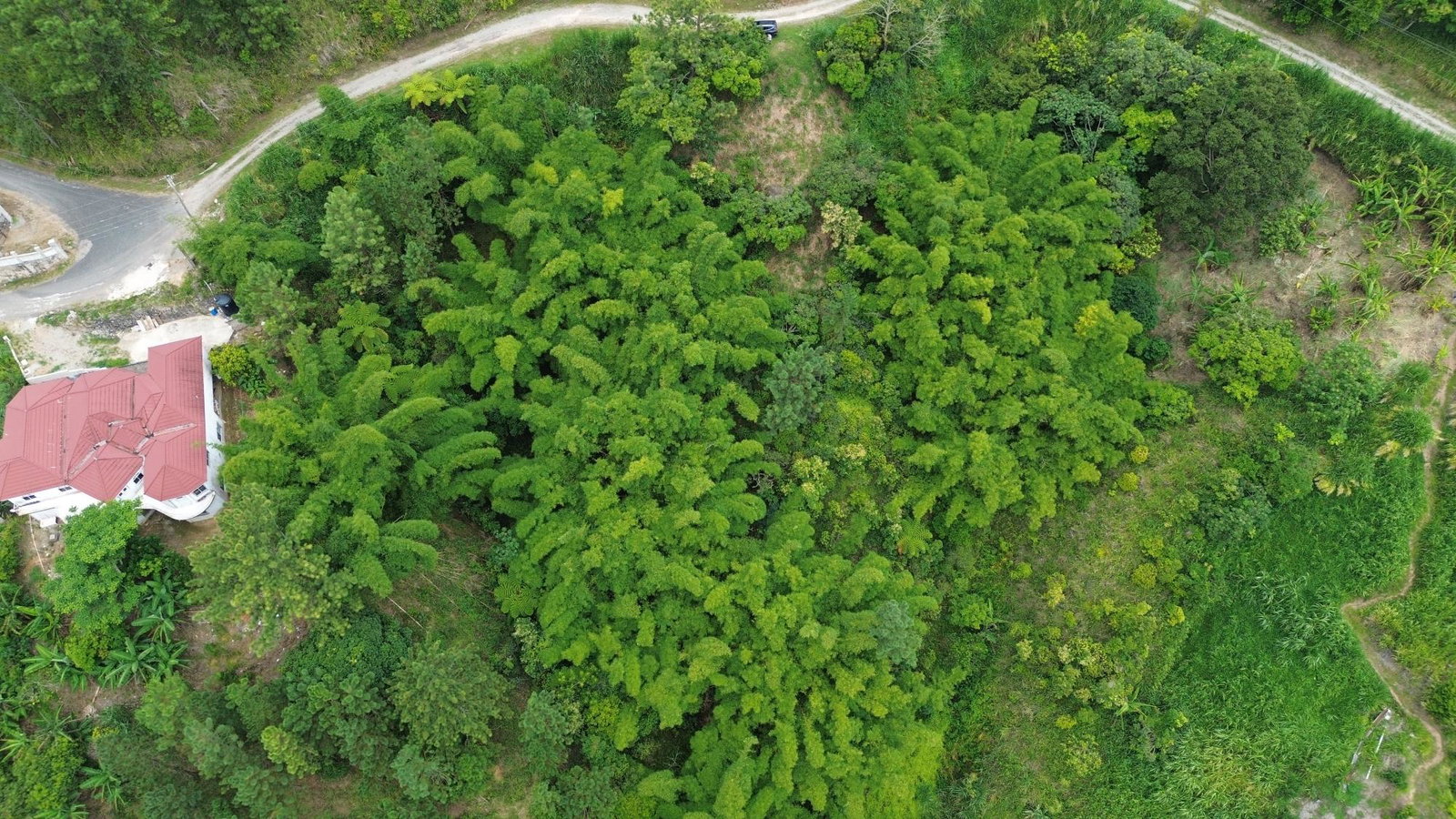 Fourth image of 12 Peter's Rock, St. Andrew in Kingston 8, St. Andrew, Jamaica - property is For Sale