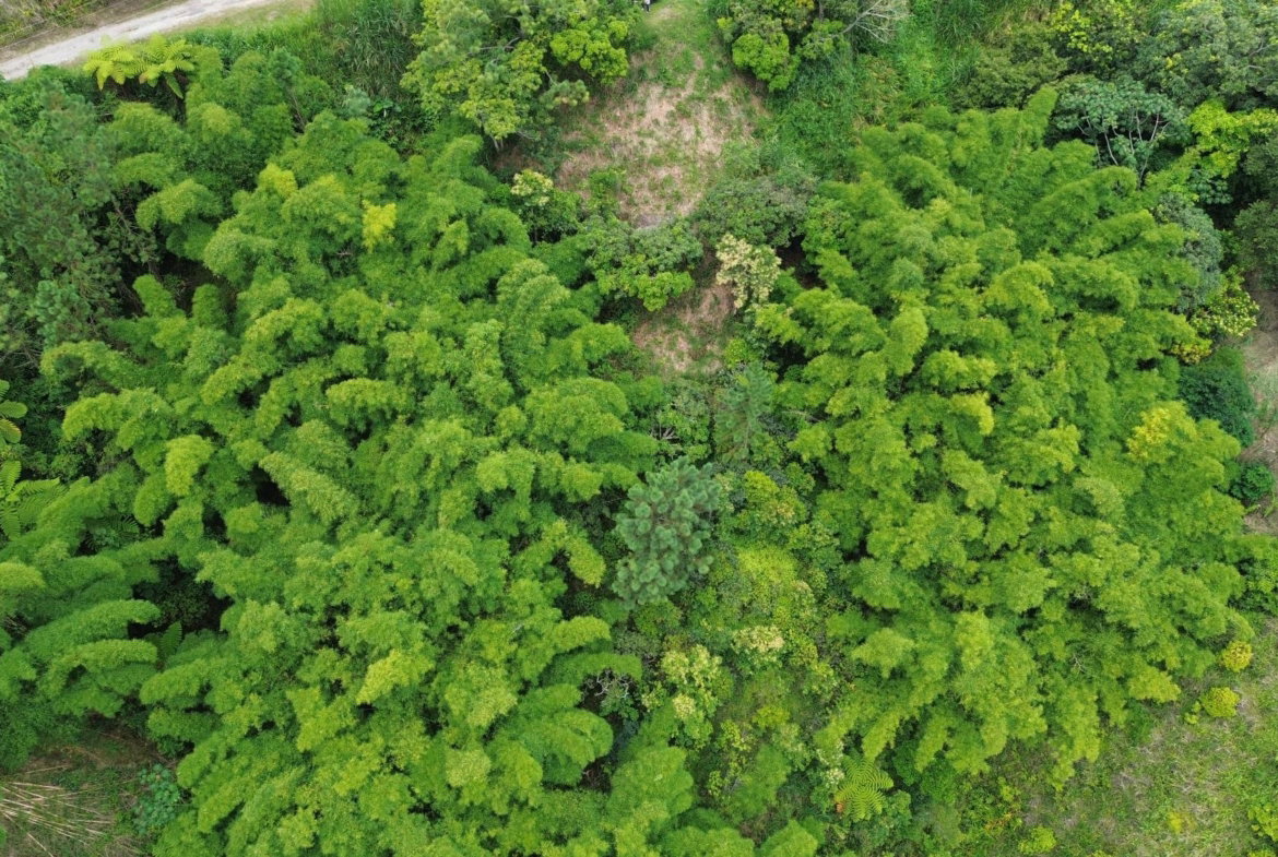 Sixth image of 12 Peter's Rock, St. Andrew in Kingston 8, St. Andrew, Jamaica - property is For Sale