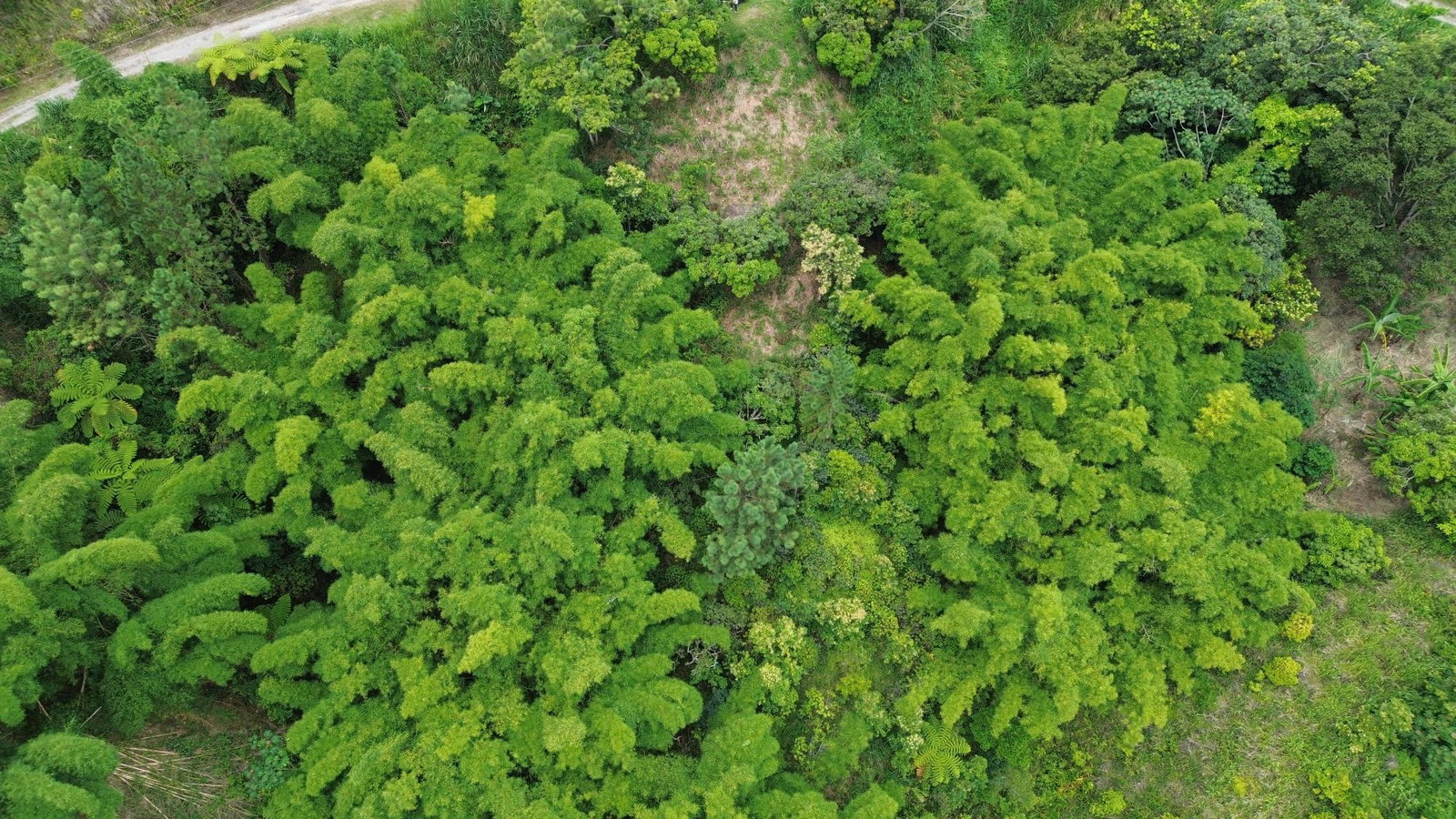 Sixth image of 12 Peter's Rock, St. Andrew in Kingston 8, St. Andrew, Jamaica - property is For Sale